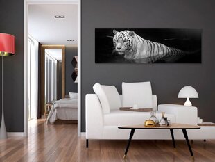 Maal - Shining Tiger (1 Part) Black and White Narrow hind ja info | Seinapildid | kaup24.ee