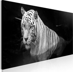 Maal - Shining Tiger (1 Part) Black and White Narrow hind ja info | Seinapildid | kaup24.ee