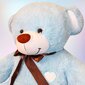 Plüüskaru "Arian", 150 cm, sinine hind ja info | Pehmed mänguasjad | kaup24.ee
