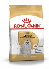 Royal Canin täiskasvanud Malta piisonid Maltese Adult, 1,5kg цена и информация | Сухой корм для собак | kaup24.ee