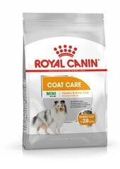 Royal Canin terve karusnaha ja naha jaoks Mini Coat Care, 1 kg цена и информация | Сухой корм для собак | kaup24.ee