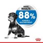 Royal Canin koerad, kes kipuvad kaalus juurde võtma Mini Light Weight Care, 3 kg цена и информация | Kuivtoit koertele | kaup24.ee