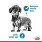 Royal Canin koerad, kes kipuvad kaalus juurde võtma Mini Light Weight Care, 3 kg цена и информация | Kuivtoit koertele | kaup24.ee