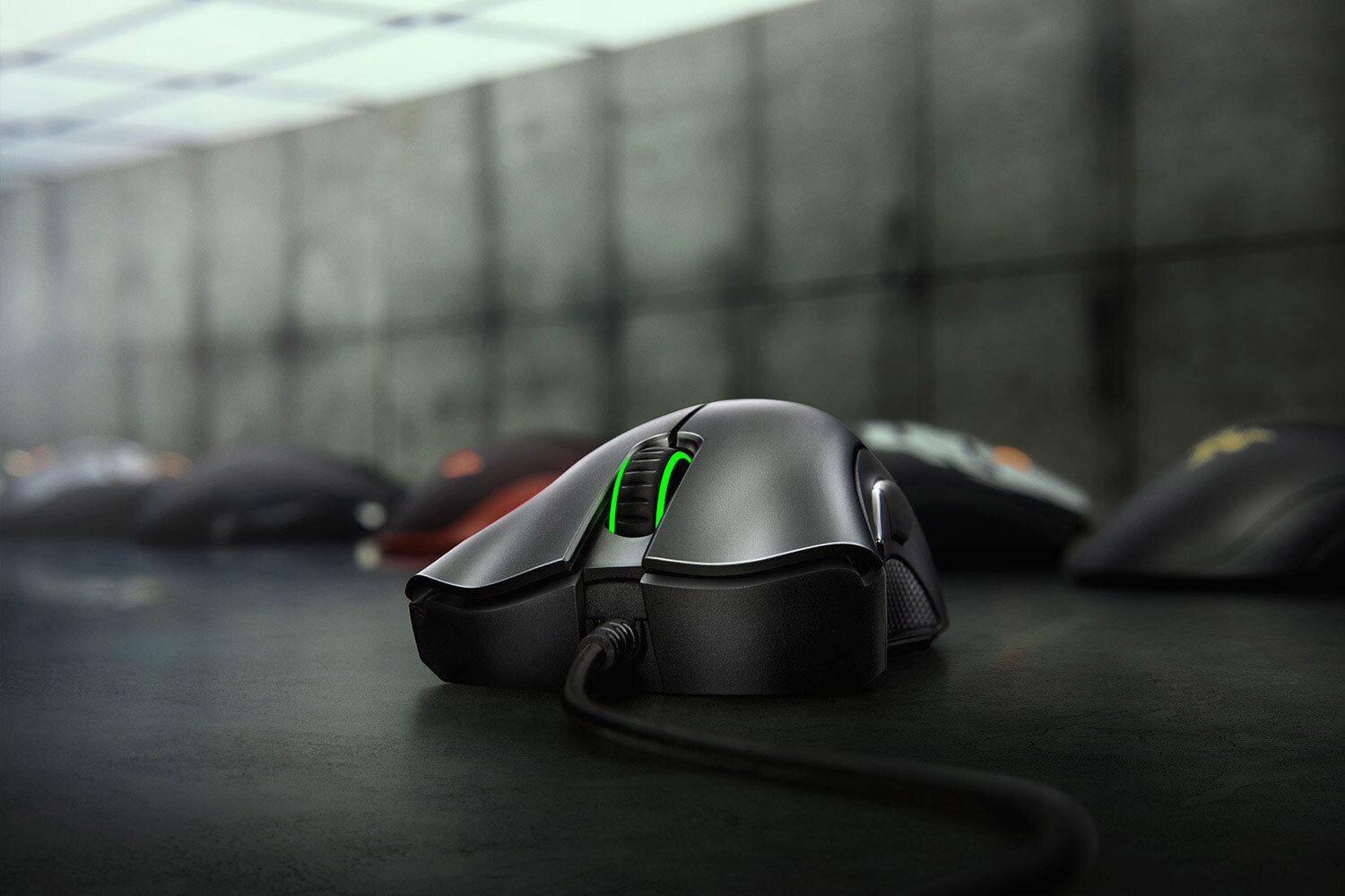 Hiir Razer Deathadder Essential optiline, 6400dpi hind ja info | Hiired | kaup24.ee