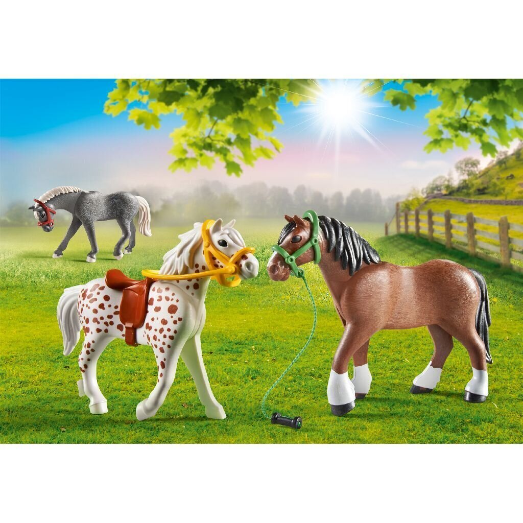 70683 Playmobil, 3 hobust hind ja info | Klotsid ja konstruktorid | kaup24.ee