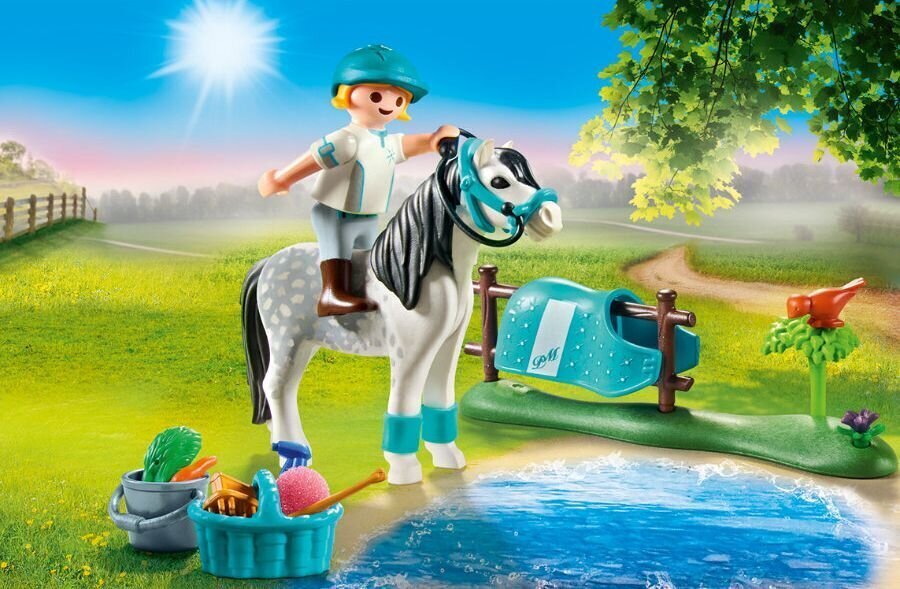 70522 Playmobil, kollektsioon Pony - Classic цена и информация | Klotsid ja konstruktorid | kaup24.ee