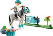 70522 Playmobil, kollektsioon Pony - Classic цена и информация | Klotsid ja konstruktorid | kaup24.ee