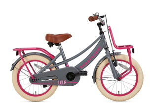 Laste jalgratas Supersuper Lola, 16'', 25,4 cm, hall/roosa hind ja info | Jalgrattad | kaup24.ee