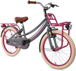 Детский велосипед Supersuper Lola, 20'', 31,75 см, серый/розовый цена и информация | Велосипеды | kaup24.ee