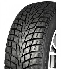 Nankang ICE-1 225/55R17 101 Q цена и информация | Зимняя резина | kaup24.ee