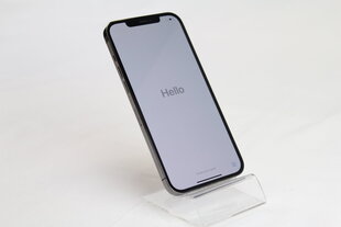 iPhone 12 Pro Max, 256GB, серый (подержанный, состояние A) цена и информация | Мобильные телефоны | kaup24.ee