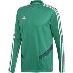 Мужской джемпер Adidas Tiro 19, зеленый цена и информация | Мужские толстовки | kaup24.ee