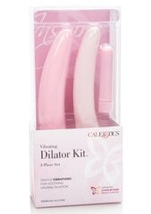 Набор вибраторов Vibrating Dilator Kit Inspire 88413 цена и информация | Наборы секс-товаров | kaup24.ee