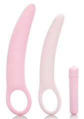 Набор вибраторов Vibrating Dilator Kit Inspire 88413 цена и информация | Наборы секс-товаров | kaup24.ee