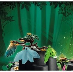 70808 PLAYMOBIL® Adventures of Ayuma, Весенняя церемония цена и информация | Конструкторы и кубики | kaup24.ee