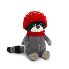 Pesukaru Daisy: Jõhvikasiirup (Daisy the Raccoon: Cranberry Syrup) hind ja info | Imikute mänguasjad | kaup24.ee