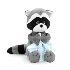 Pesukaru Denny koos rätikuga (Denny the Raccoon with towel) hind ja info | Imikute mänguasjad | kaup24.ee