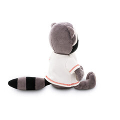 Pesukaru Denny: Merereis (Denny the Raccoon: Sea Voyage) hind ja info | Imikute mänguasjad | kaup24.ee