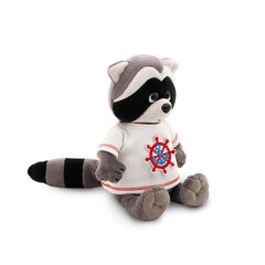 Pesukaru Denny: Merereis (Denny the Raccoon: Sea Voyage) hind ja info | Imikute mänguasjad | kaup24.ee