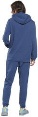 Reebok Cпортивные Kостюмы Vector Tracksuit Blue HG7955 HG7955/L цена и информация | Мужская спортивная одежда | kaup24.ee