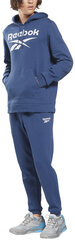 Reebok Cпортивные Kостюмы Vector Tracksuit Blue HG7955 HG7955/L цена и информация | Мужская спортивная одежда | kaup24.ee