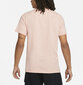 Nike T-Särgid Nsw Tee Sustainability Pink DM2386 824 DM2386 824/L цена и информация | Meeste T-särgid | kaup24.ee