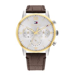 Tommy Hilfiger Sulllivan TH1791884 цена и информация | Мужские часы | kaup24.ee