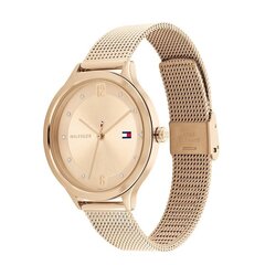 Tommy Hilfiger Grace TH1782431 hind ja info | Naiste käekellad | kaup24.ee