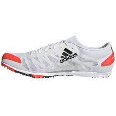 Meeste tossud Adidas Adizero XCS FY4089, valge hind ja info | Spordi- ja vabaajajalatsid meestele | kaup24.ee