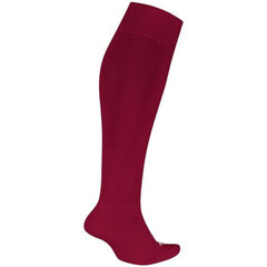 Мужские футбольные носки Nike SX4120671 цена и информация | Мужские носки | kaup24.ee