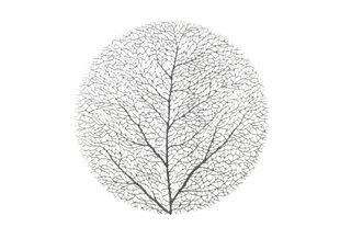 Lauamatt 4Living Tree Silver, 38x38 cm цена и информация | Скатерти, салфетки | kaup24.ee