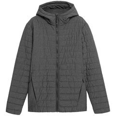 Куртка мужская 4F H4Z21 KUMP004, серая цена и информация | Мужские куртки | kaup24.ee