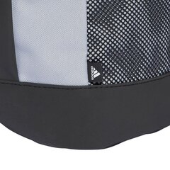 Рюкзак Adidas Linear Backpac HC4756, 96875 цена и информация | Рюкзаки и сумки | kaup24.ee