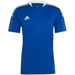 Meeste T-särk Adidas, sinine hind ja info | Meeste spordiriided | kaup24.ee
