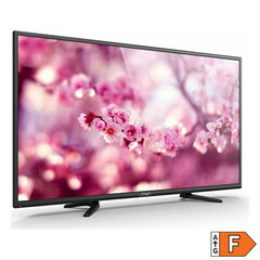 Телевизор Engel LE4060T2 40" Full HD LED HDMI цена и информация | Телевизоры | kaup24.ee