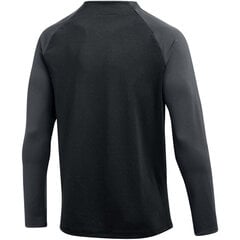 Мужской свитер Nike, черный цена и информация | Мужская спортивная одежда | kaup24.ee