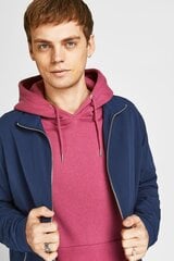 Мужская куртка Jack & Jones, синяя цена и информация | Мужские куртки | kaup24.ee