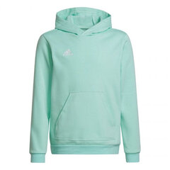 Laste džemper Adidas, roheline цена и информация | Свитеры, жилетки, пиджаки для мальчиков | kaup24.ee
