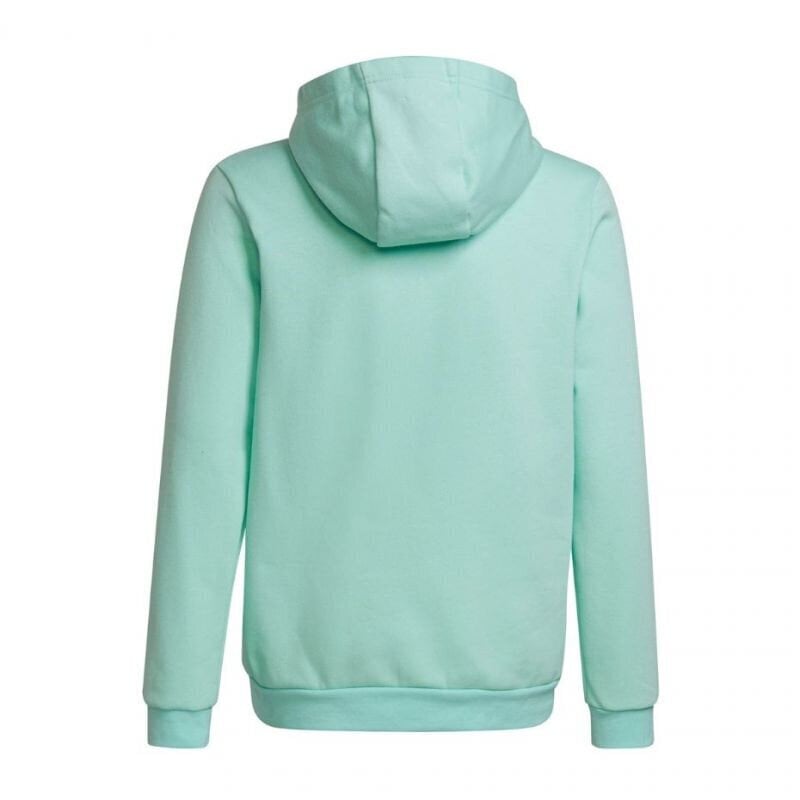 Laste džemper Adidas, roheline цена и информация | Poiste kampsunid, vestid ja jakid | kaup24.ee