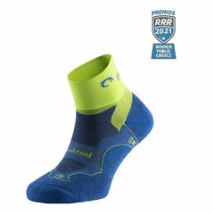 Спортивные носки Lurbel Distance, синие: Размер 35-38 S6438047 цена и информация | Мужские носки | kaup24.ee