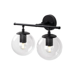 Настенный светильник 942FLG2156 цена и информация | Настенные светильники | kaup24.ee