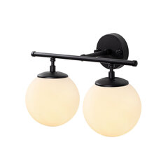 Настенный светильник 942FLG2157 цена и информация | Настенные светильники | kaup24.ee