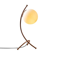 Лампа настольная 584ТТМ1723 цена и информация | Настольная лампа | kaup24.ee