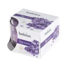 Bolsius lõhnaküünal True Scents, 5x8 cm, lavendel hind ja info | Küünlad, küünlajalad | kaup24.ee