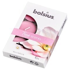 Чайные свечи Bolsius True Scents, 6 шт., магнолия цена и информация | Подсвечники, свечи | kaup24.ee