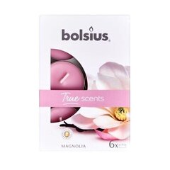 Чайные свечи Bolsius True Scents, 6 шт., магнолия цена и информация | Подсвечники, свечи | kaup24.ee