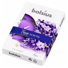 Bolsius teeküünlad True Scents, 6 tk., lavendel hind ja info | Küünlad, küünlajalad | kaup24.ee