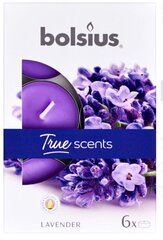 Bolsius teeküünlad True Scents, 6 tk., lavendel hind ja info | Küünlad, küünlajalad | kaup24.ee