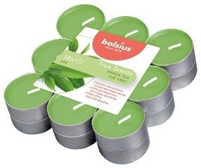 Bolsius teeküünlad True Scents, 18 tk., roheline tee hind ja info | Küünlad, küünlajalad | kaup24.ee