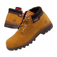 Мужские ботинки Carrera Chukka M CAM021057-01, коричневые цена и информация | Мужские ботинки | kaup24.ee